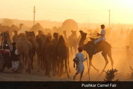India – 9 Day Holiday including Pushkar Camel Fair & Golden Triangle Private Tour