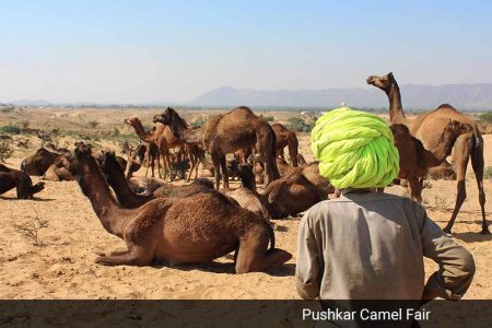 India – 9 Day Holiday including Pushkar Camel Fair & Golden Triangle Private Tour