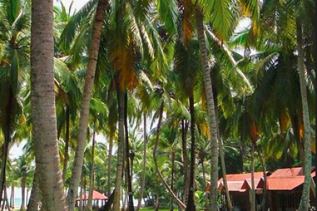 7 Days Trip to Andaman – Explore Island Paradise