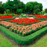 Beautiful view of the Botanical Gardens in Ooty, showcasing lush greenery and vibrant flowers