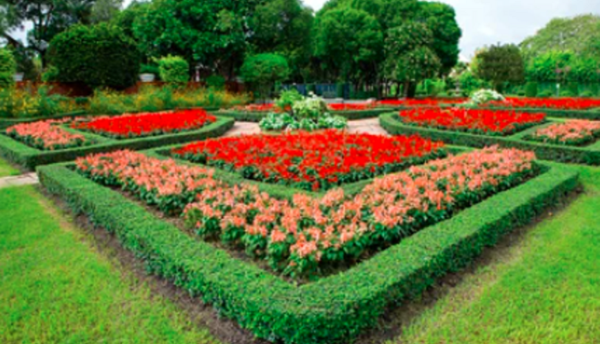 Beautiful view of the Botanical Gardens in Ooty, showcasing lush greenery and vibrant flowers