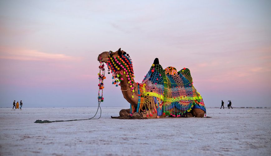 Rann of Kutch in Gujarat