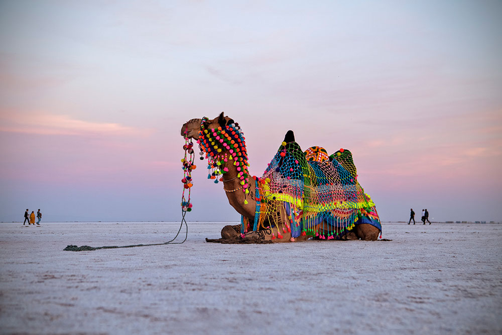 Rann of Kutch in Gujarat