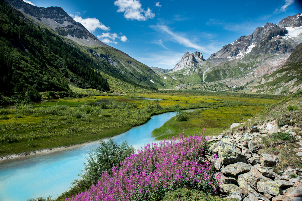 View in Sonmarg