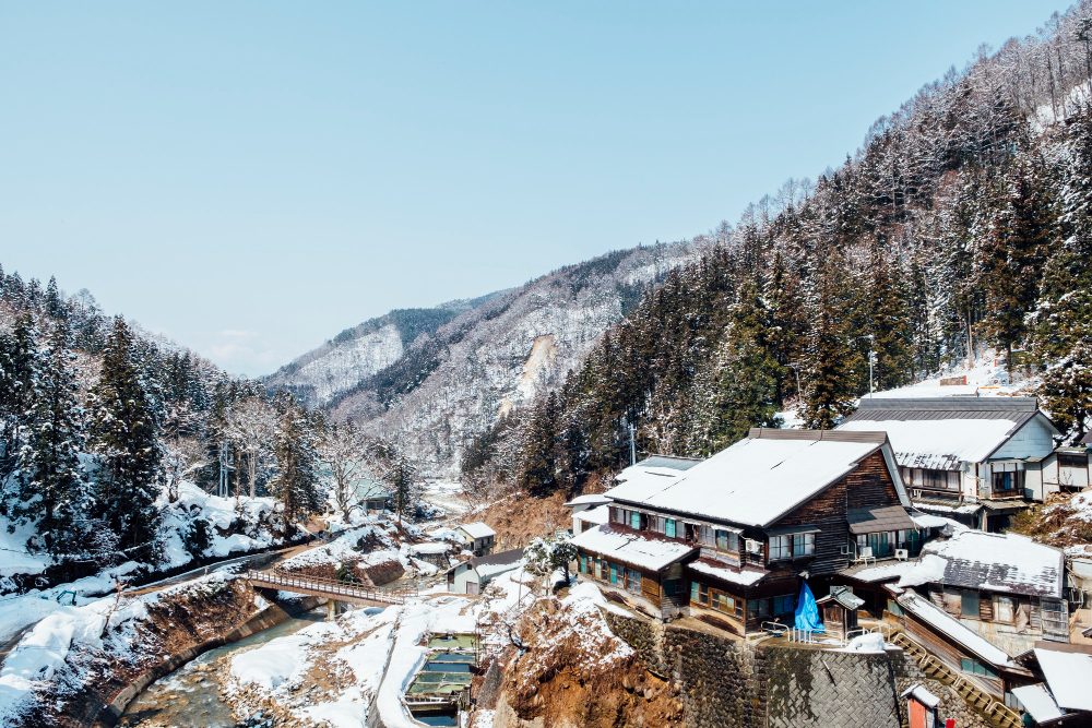 Snow View during Manali tour